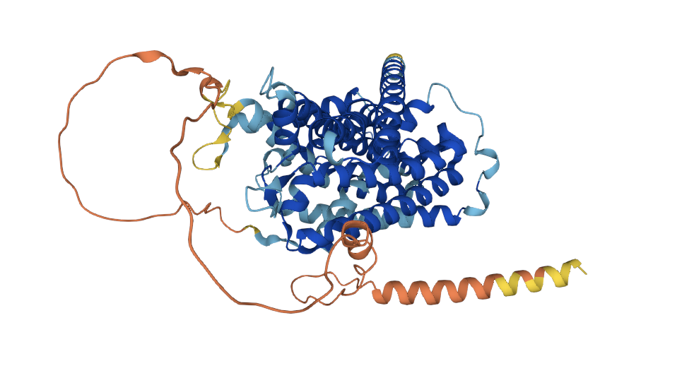 Rabbit anti-Vesicular Inhibito