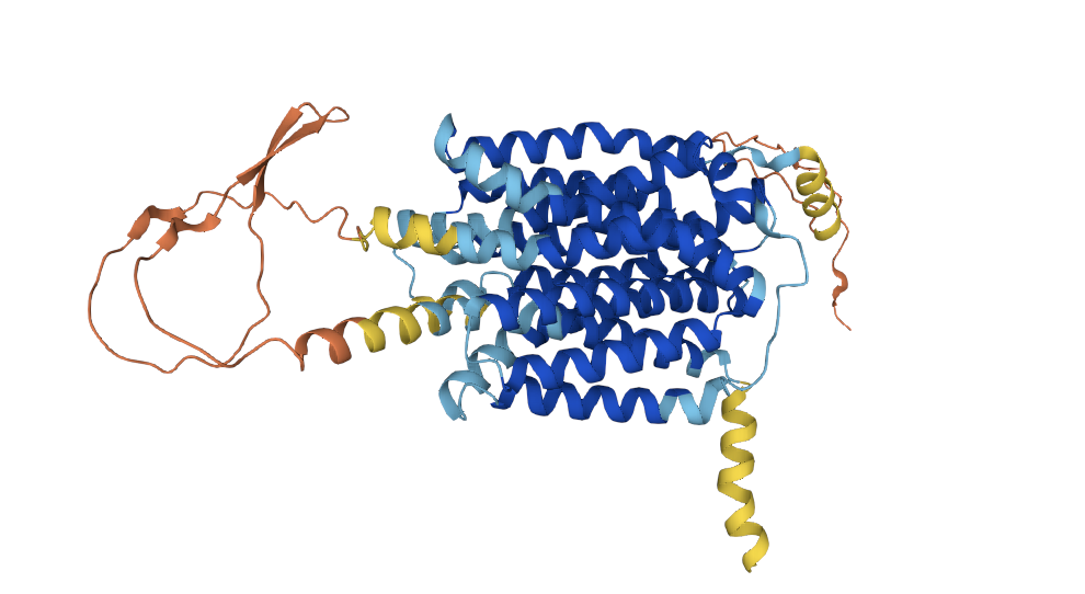 Rabbit anti-Vesicular Monoamin