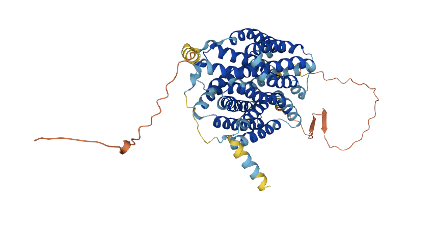 Rabbit anti-Vesicular Monoamin