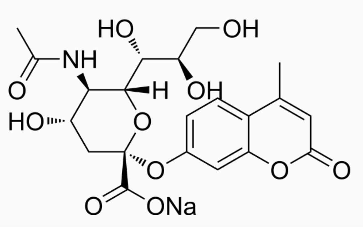 4-甲基香豆素基-Α-D-唾液酸钠盐