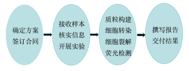流程图.jpg