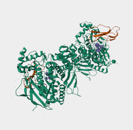 Anti-acetylcholinesterase mAbs