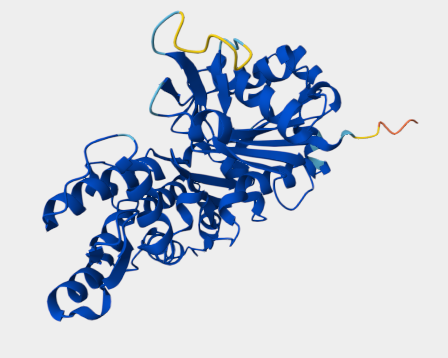 Anti-alpha-SMA mAbs