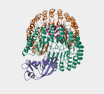 Anti-Angiogenin mAbs