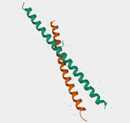 Anti-ATF4 mAbs