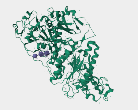 Anti-Autotaxin mAbs