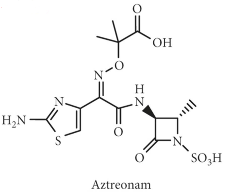 Anti-Aztreonam mAbs