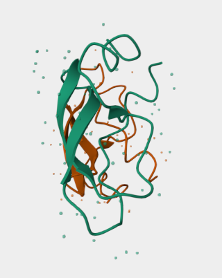 Anti-Aβ1–42 amyloid beta mAbs