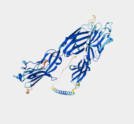 Anti-B7-H3 mAbs