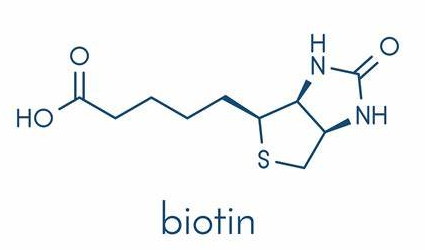 Anti-Biotin mAbs