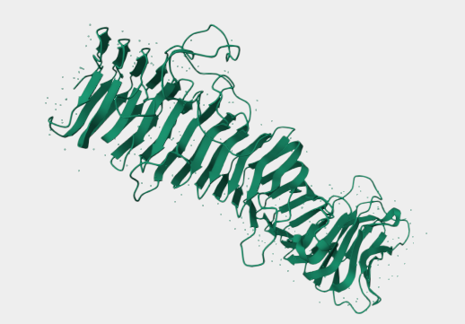 Anti-Bordetella pertussis cells mAbs