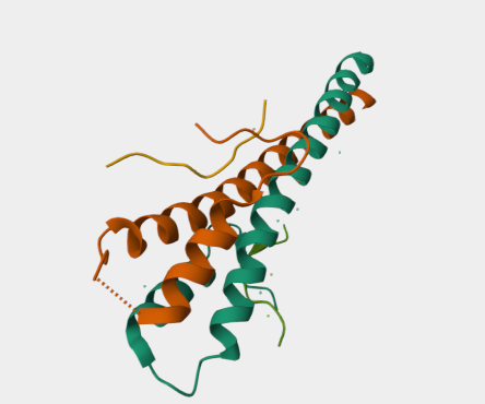Anti-BP230 mAbs