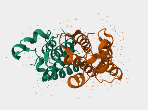 Anti-BRD2 mAbs