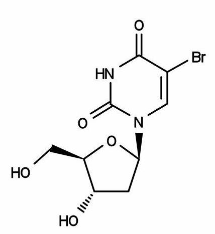 Anti-BrdU mAbs