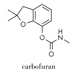 Anti-Carbofuran mAbs
