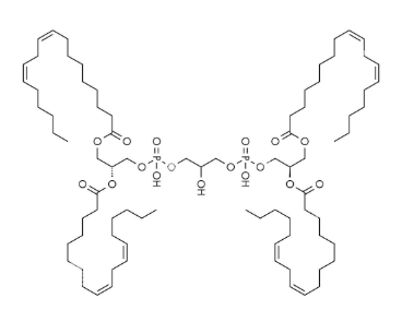 Anti-Cardiolipin mAbs