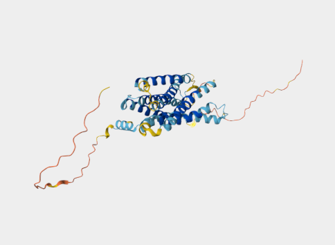 Anti-CCRL2 mAbs
