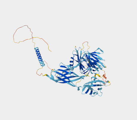 Anti-CD105 mAbs