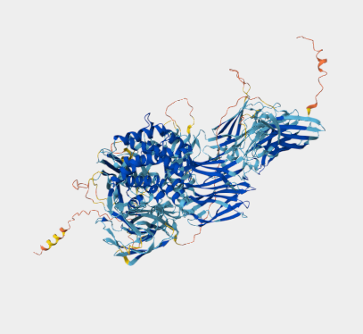 Anti-CD109 mAbs