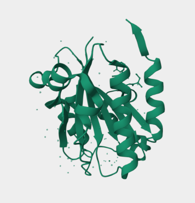 Anti-CD11 alpha/Integrin alpha-L mAbs