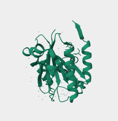 Anti-CD11a mAbs