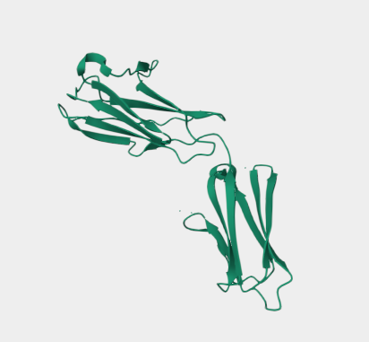 Anti-CD147 mAbs