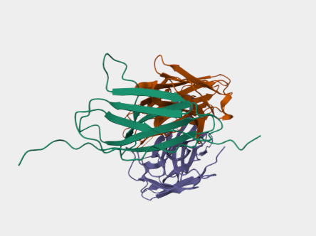 Anti-CD147 mAbs
