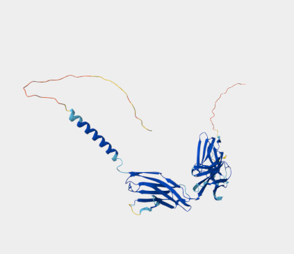 Anti-CD147 mAbs