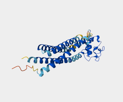 Anti-CD151 mAbs