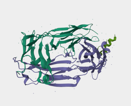 Anti-CD20 mAbs