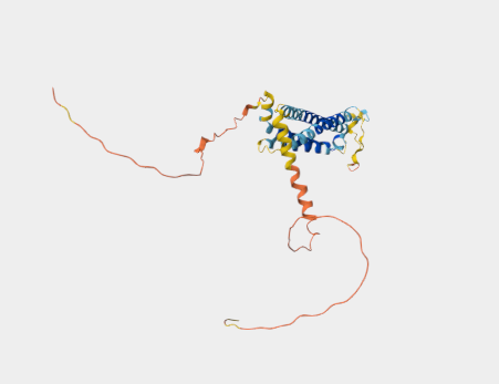 Anti-CD20 mAbs