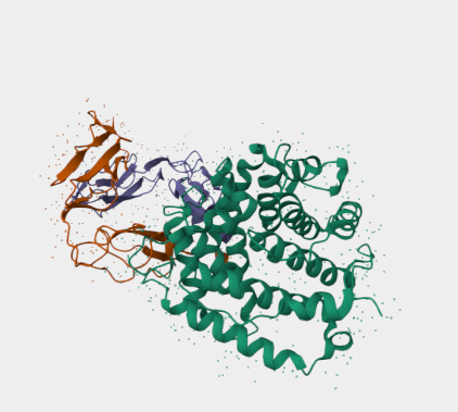 Anti-CD21 mAbs
