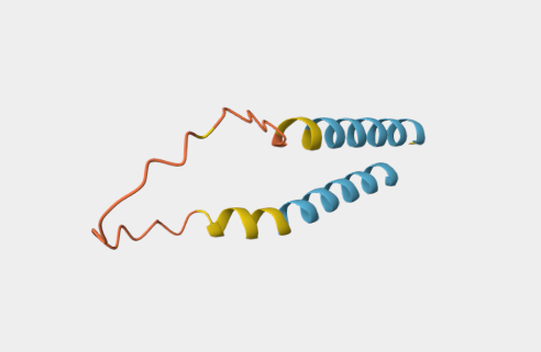 Anti-CD24 mAbs