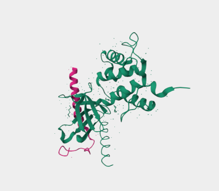 Anti-CD29 mAbs