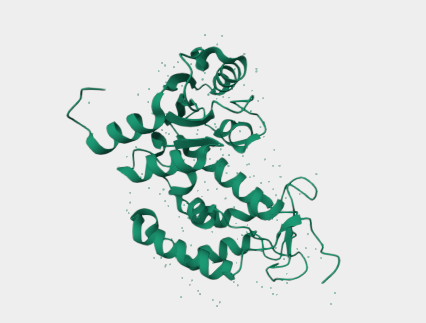 Anti-CD38 mAbs