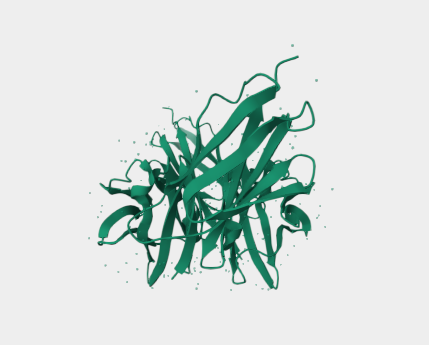 Anti-CD4, Cytoplasmic tail mAb