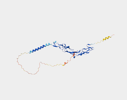 Anti-CD40 mAbs