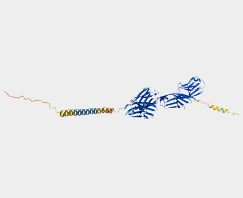 Anti-CD4 mAbs