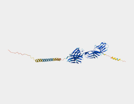 Anti-CD4 epitope A mAbs