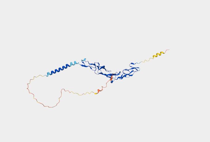 Anti-CD40 mAbs