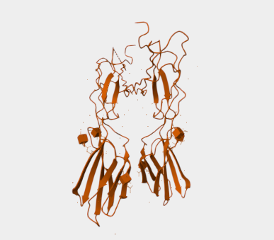 Anti-CD45 (leukocyte common an