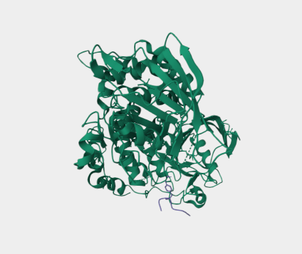 Anti-CD45 mAbs