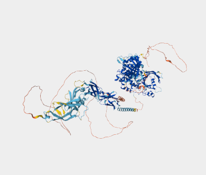 Anti-CD45 mAbs