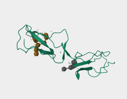 Anti-CD46 mAbs
