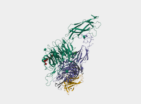 Anti-CD49e mAbs