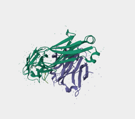 Anti-CD52 mAbs