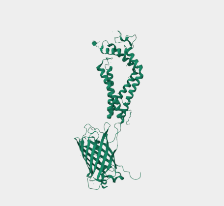 Anti-CD53 mAbs