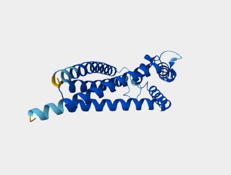 Anti-CD53 mAbs