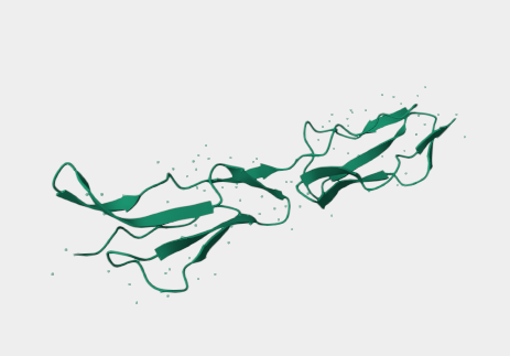 Anti-CD55 mAbs