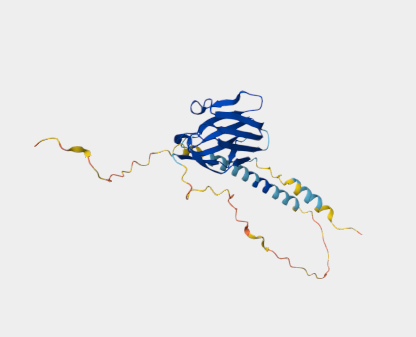Anti-CD7 mAbs